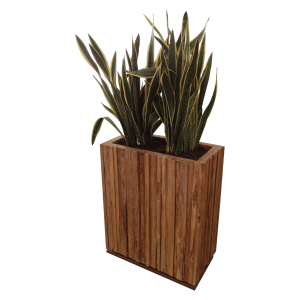 Wood Raumteiler inkl. Sansevieria 1
